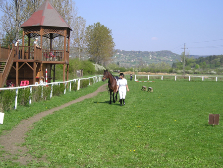 lovasjatekok042006_0004