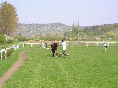 lovasjatekok042006_0008