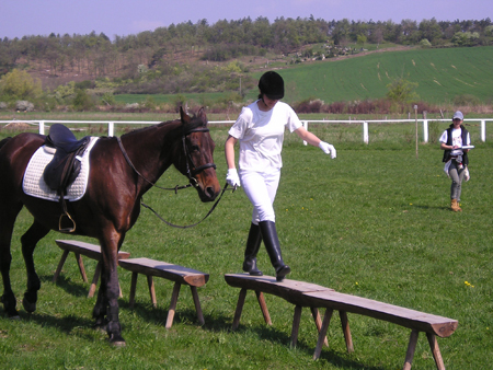 lovasjatekok042006_0015